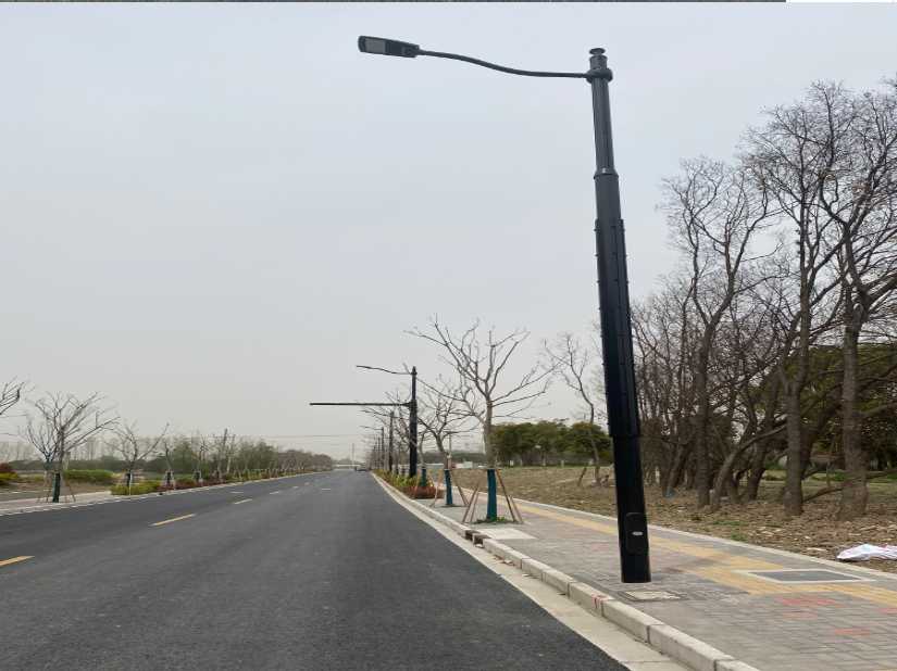 册亨县上海综合杆 太阳能路灯工程